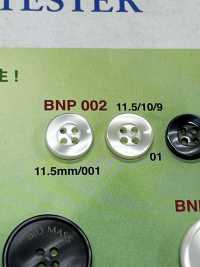 BNP-002 バイオポリエステル 4つ穴ボタン アイリス サブ画像