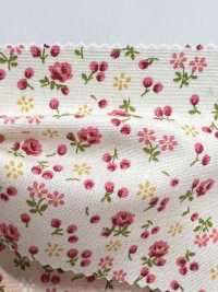 6110 SEVENBERRY®  ブロード 小花柄[生地] VANCET サブ画像