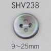 SHV238 4つ穴 貝ボタン