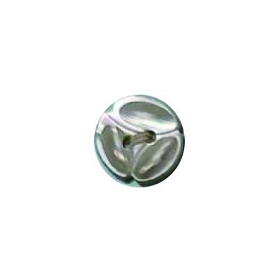 200 2つ穴 ボタン 高瀬貝