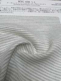 KYC438 D/1 オーガニックコットン ピケ ボーダー ボタニカル染色[生地] 宇仁繊維(小紋工房) サブ画像