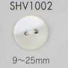 SHV1002 2つ穴 貝ボタン