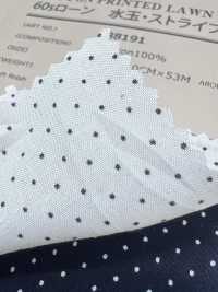 88191 SEVENBERRY® 60Sローン 水玉・ストライプ[生地] VANCET サブ画像