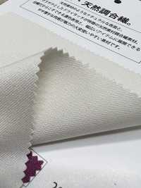 MT32500 NATURAL FACE TWILL[生地] 松原 サブ画像