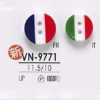 VN9771 ポリエステル樹脂製 表穴2つ穴ボタン
