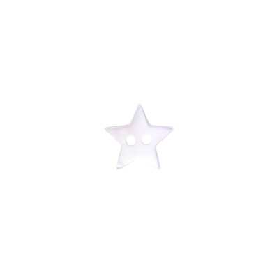 ST1040 高瀬貝製 表穴2つ穴ボタン