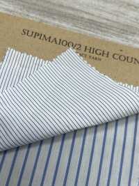 TRD2017-41 SUPIMA100/2 HIGH COUNT COMPACT YARN[生地] 桑村