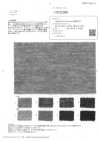 OD22300 Shetland Wool&Linen 接結天竺