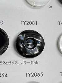 TY2081 ポリエステル樹脂製 2つ穴ボタン 大阪プラスチック工業(DAIYA BUTTON) サブ画像