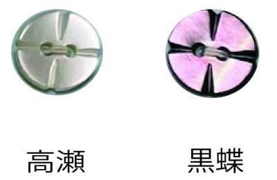 250 2つ穴 縁なし 貝ボタン