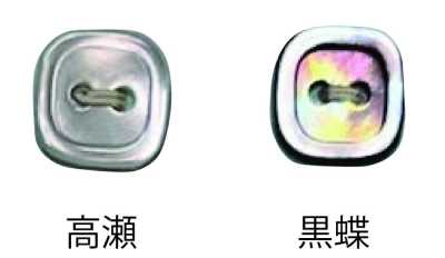 4002H 2つ穴 縁あり 貝ボタン