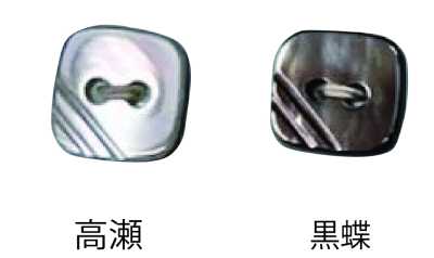 2つ穴 縁なし 貝ボタン
