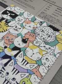 画材 lala 7745 79A キャンバス[生地] VANCET/オークラ商事 - ApparelX