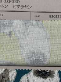 850537 SEVENBERRY® オックス 未晒コットン ヒマラヤン[生地] VANCET サブ画像