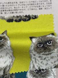 850537 SEVENBERRY® オックス 未晒コットン ヒマラヤン[生地] VANCET サブ画像