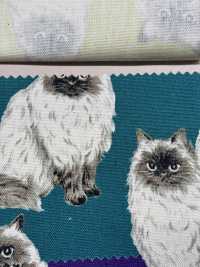 850537 SEVENBERRY® オックス 未晒コットン ヒマラヤン[生地] VANCET サブ画像