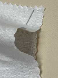A-7013 1/80 Linen[生地] 有延商店 サブ画像