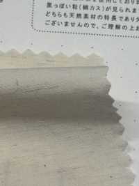 STL-9213 綿麻タイプライター[生地] 桑村繊維 サブ画像