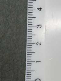 1053553 CO+ 80/1 COTTON×RE:NYLON POPLIN[生地] 瀧定 サブ画像