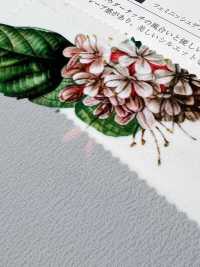 KDP1401-58-DD-783 綿 80 タイプライタープリント[生地] 宇仁繊維(小紋工房) サブ画像