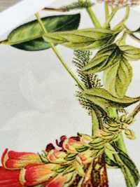 KDP7711-58-DD899 ライトグログラン 広巾 インクジェットプリント[生地] 宇仁繊維(小紋工房) サブ画像