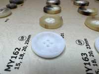 MY162 水牛調 4つ穴 樹脂ボタン 大阪プラスチック工業(DAIYA BUTTON) サブ画像