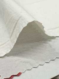 PSW7865 80/1超高密度タイプライター COTTON DYED PLAIN[生地] 古山 サブ画像