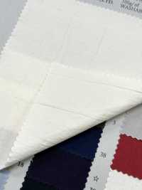 PSW7865 80/1超高密度タイプライター COTTON DYED PLAIN[生地] 古山 サブ画像