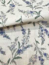 83073 Wガーゼ 未晒コットン Nostalgia Collection / Veronica[生地] VANCET サブ画像
