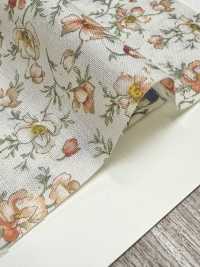 83068 SEVENBERRY®  スケア 未晒コットン Nostalgia Collection / Shirley[生地] VANCET サブ画像