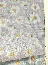 83070 SEVENBERRY®  スケア 未晒コットン Nostalgia Collection / Margarite[生地] VANCET サブ画像