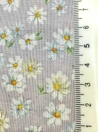 83070 SEVENBERRY®  スケア 未晒コットン Nostalgia Collection / Margarite[生地] VANCET サブ画像