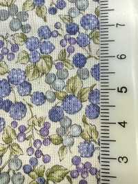 83069 SEVENBERRY®  スケア 未晒コットン Nostalgia Collection / Berry Garden[生地] VANCET サブ画像