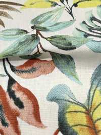 4251 SEVENBERRY®  ブロード Stylish Relax / Vacances[生地] VANCET サブ画像