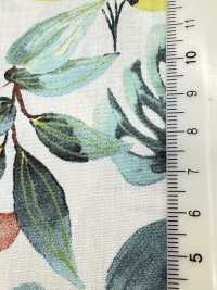 4251 SEVENBERRY®  ブロード Stylish Relax / Vacances[生地] VANCET サブ画像