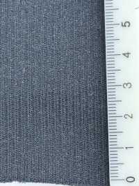 RS225 リブ ラスルヤーン 2本ゴム 1本2×1  60cm巾 竹中商事 サブ画像