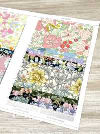 AP55808-DR エッセンシャルグレース2  オックス(半折)[生地] コスモテキスタイル サブ画像