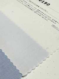 2190 80/2ハケメ玉虫・シャンブレー[生地] 桑村繊維 サブ画像