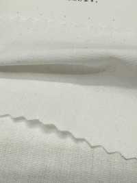 2030 40/1綿麻 ダンプ[生地] 桑村繊維 サブ画像