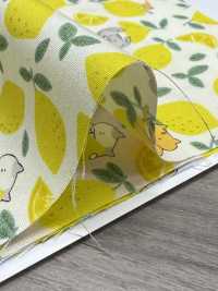 KTS7121 ブロード レモンネコ柄プリント[生地] コットンこばやし サブ画像