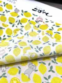 KTS7121 ブロード レモンネコ柄プリント[生地] コットンこばやし サブ画像