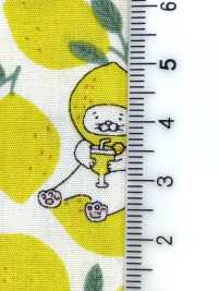 KTS7121 ブロード レモンネコ柄プリント[生地] コットンこばやし サブ画像