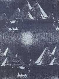 A-1728 デニム ジャガード[生地] 有延商店 サブ画像