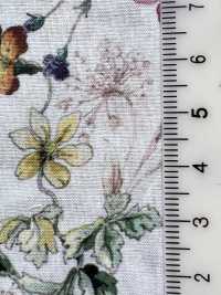 DP-5000-1 60 ローン デジタルプリント ボタニカル[生地] 北高 サブ画像