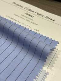 5SG032 オーガニック コットン ポプリン ストライプ[生地] シャンブレー サブ画像