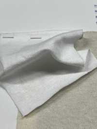 N-47587 アメリカン ヴィンテージ 天竺 Ⅲ[生地] ミナミ サブ画像