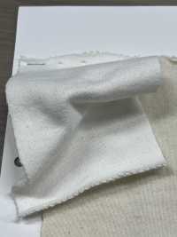 W-48377 ヴィンテージ チャンピオン 裏毛 Ⅱ[生地] ミナミ サブ画像