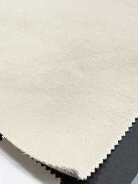 1078602 モチモチ 裏毛 ハイパーストレッチ・改[生地] 瀧定名古屋 サブ画像