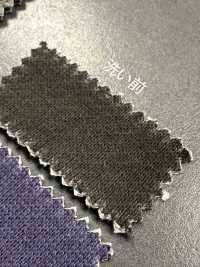 1078551GA 30/1 引き揃え 顔料うら毛[生地] 瀧定名古屋 サブ画像