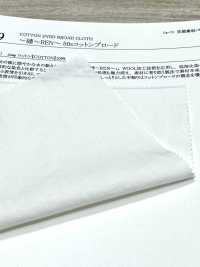 22499 ~漣~REN~ 50sコットン ブロード[生地] SUNWELL(サンウェル) サブ画像